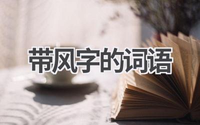 带风字的词语