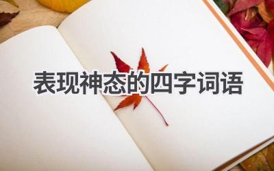 表现神态的四字词语