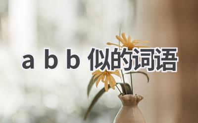 abb似的词语