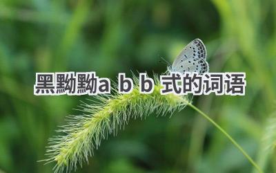 黑黝黝abb式的词语