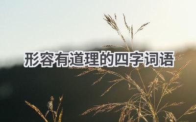 形容有道理的四字词语