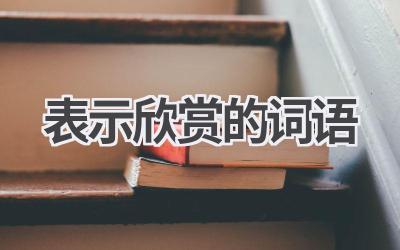 表示欣赏的词语