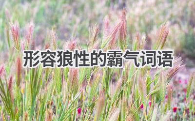 形容狼性的霸气词语