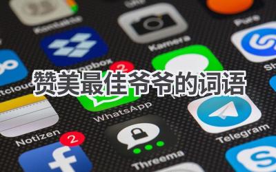 赞美最佳爷爷的词语