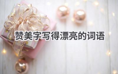 赞美字写得漂亮的词语