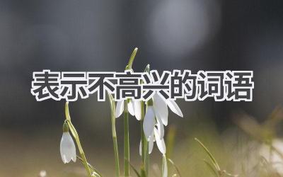 表示不高兴的词语