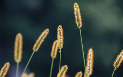 描写人物心情的词语有哪些