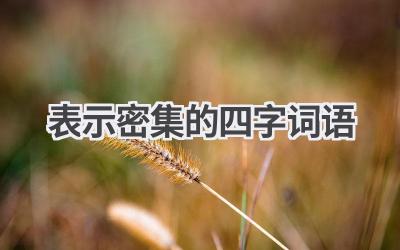 表示密集的四字词语
