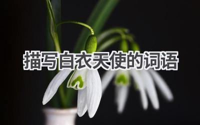 描写白衣天使的词语