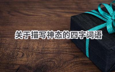 关于描写神态的四字词语