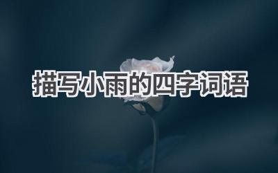 描写小雨的四字词语