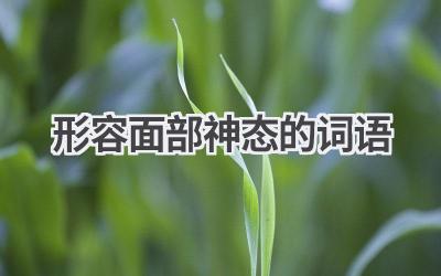 形容面部神态的词语