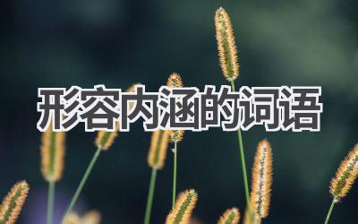 形容内涵的词语