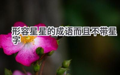 形容星星的成语而且不带星字