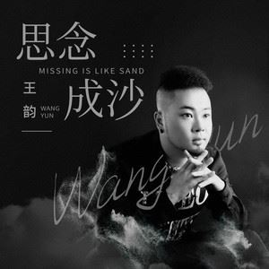 思念成沙歌词 王韵 思念成沙歌曲LRC歌词下载