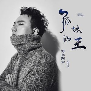 孤独的王歌词 海来阿木 孤独的王歌曲LRC歌词下载