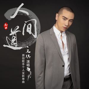 人间道歌词 王琪 人间道歌曲LRC歌词下载